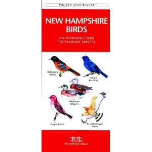  Folding Pocket Guide   New Hampshire Birds Everything 