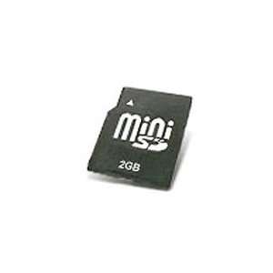 TRANSCEND, Transcend 2GB miniSD Card (45x) (Catalog Category Computer 