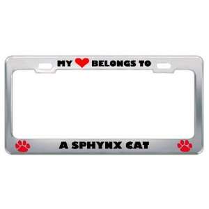 My Heart Belongs To A Sphynx Cat Animals Pets Metal License Plate 
