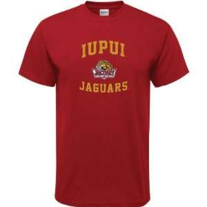  IUPUI Jaguars Cardinal Aptitude T Shirt: Sports & Outdoors