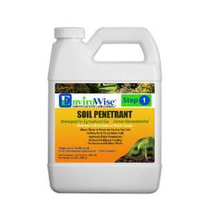  Professor Green 350 Soil Penetrant, 1 Quart Bottle: Patio 