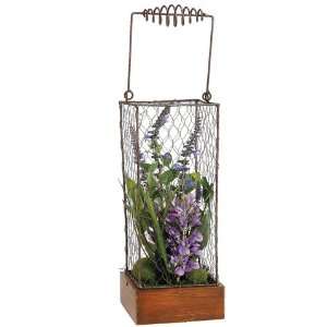   in Metal Cage w/Wood Stand Blue Purple (Pack of 2)