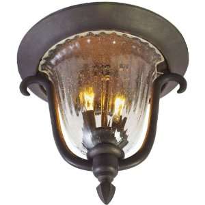   Flush Mount, Mayon Bronze Finish with Seedy Glass: Home Improvement