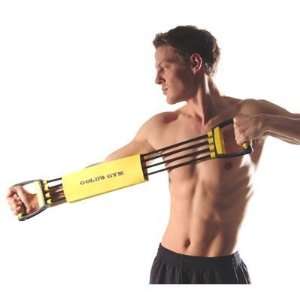  Golds Gym Torso Max Chest Expander: Sports & Outdoors