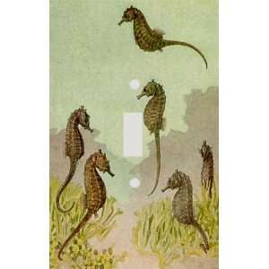  Seahorses Decorative Switchplate Cover: Home Improvement