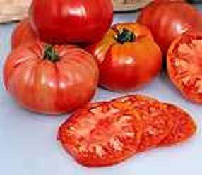 Tomato,Prudens Purple, 30 Seeds, Vegetable Seed  