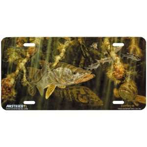 5037 Snook and Goliath License Plate Car Auto Novelty Front Tag by 