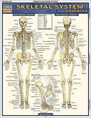 Skeletal System Advanced, (1423216261), Vincent Perez, Textbooks 