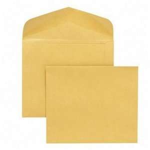  Quality Park 54300 Quality Park Document Envelopes, 10x12 