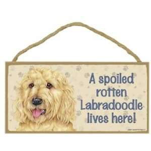  A Spoiled Rotten Labradoodle (Blonde) Lives Here   5 X 10 