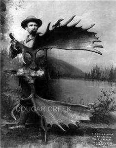 1887 Record Moose Head ~ 69 Inches Wide ~ Killed In Alaska By Dall De 