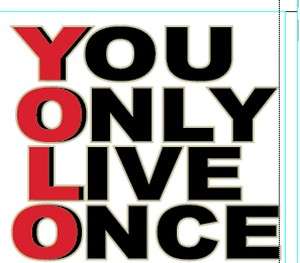 YOLO YOU ONLY LIVE ONCE Drake YMCMB OVO Take Care OVOxo Owl Y.O.L.O 