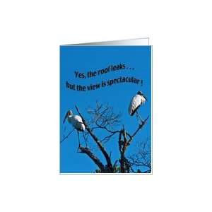  Anniversary, Wood Storks, Birds Card Health & Personal 