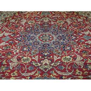   Floral Handmade Hand knotted Persian Area Rug Oriental Rug G173: Home