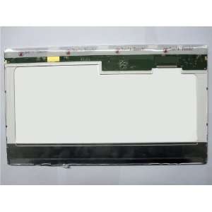  AU OPTRONICS B164RW01 LAPTOP LCD SCREEN 16.4 WXGA++ CCFL 
