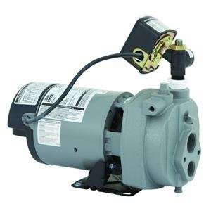  3/4HP WATER PUMP (Flint Walling/Star JHU07): Home 