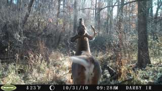  Gallon Pro Hunter Tripod Deer Feeder + D 50 Trail Game Camera  
