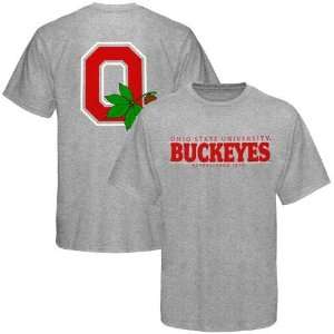   by Nike Ohio State Buckeyes Ash Established T shirt: Sports & Outdoors