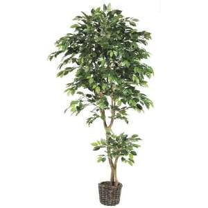  Pack of 2 Decorative Ficus Trees with Round Baskets 6 