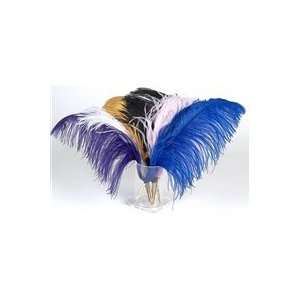  Ostrich Feather Quill Pen