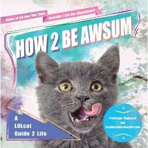  How 2 Be Awsum: A LOLcat Guide 2 Life [Paperback 