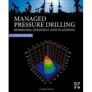   Modeling, Strategy and Planning [Hardcover] Wilson C. Chin PhD Books