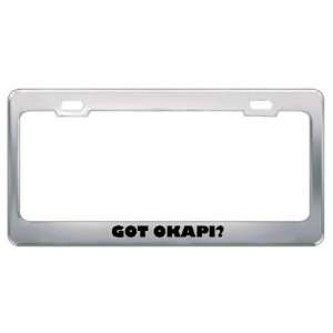  Got Okapi? Animals Pets Metal License Plate Frame Holder 