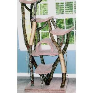 Home Sweet Dome 5 Level Rustic Cat Tree : Color ROSE : Leg Covering 