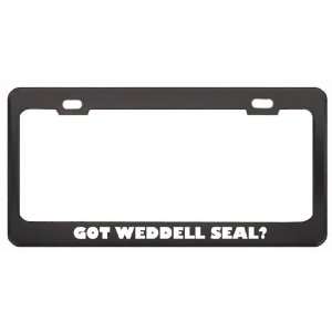 Got Weddell Seal? Animals Pets Black Metal License Plate Frame Holder 