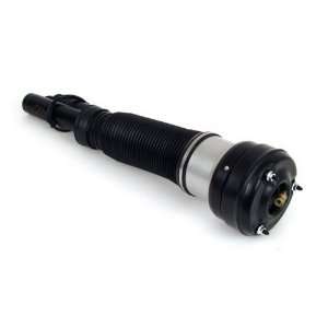Air Suspension Strut Assembly