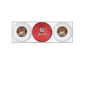 Marine Corps Golf Ball 3 Pack:  Sports & Outdoors