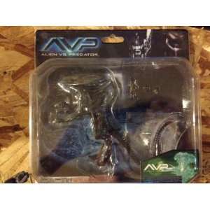  14   AVP Alien Vs Predator   Queen Alien   Action Figure: Toys & Games