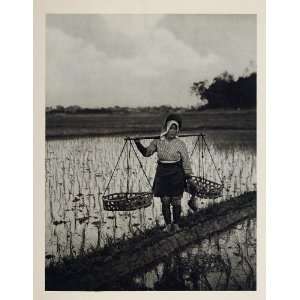  1930 Japanese Rice Field Paddy Woman Japan Photogravure 