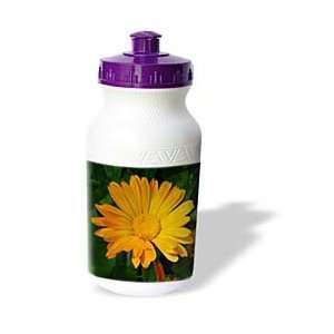   birth flower, calendula, flowers, marigold, yellow   Water Bottles