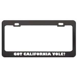 Got California Vole? Animals Pets Black Metal License Plate Frame 