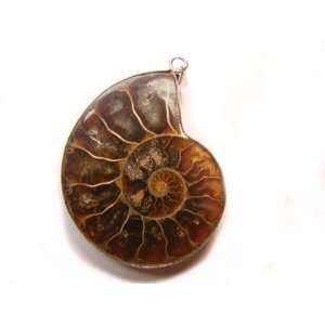  PE0364 Madagascar Ammonite Fossil Crystal Pendant Jewelry