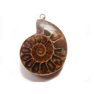  PE0355 Madagascar Ammonite Fossil Crystal Pendant Jewelry