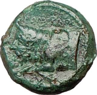 Sicily city of AGYRION 344BC Hercules & Man Bull Authentic Ancient 