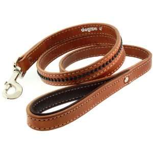   Leather Dog Leash   Optional Personalized Name Plate: Pet Supplies