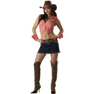  Wild West Costume: Toys & Games