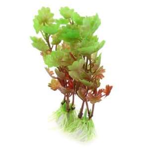   Fish Tank Green Dark Red Aquascaping Water Plant Grass