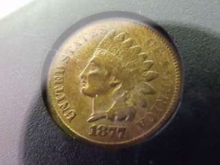   1877 RARE KEY DATE INDIAN HEAD CENT PENNY COIN COLLECTIBLE NEAT  