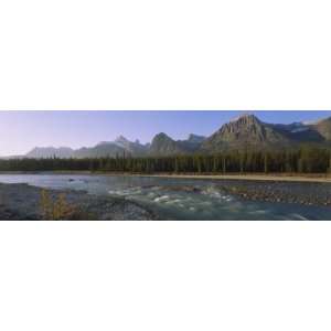 Trees Along a River with a Mountain Range in Back, Athabasca River 
