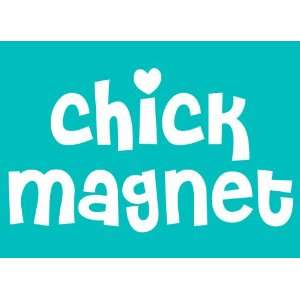  Imagine This Car Window Decal, Chick Magnet: Pet Supplies