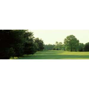  Trees on a Golf Course, Woodholme Country Club, Baltimore 