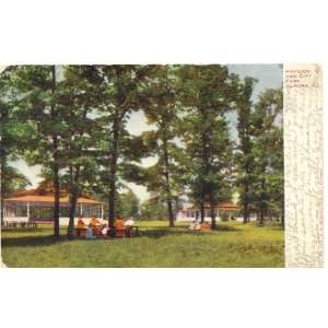   Postcard Pavilion and City Park Aurora Illinois: Everything Else