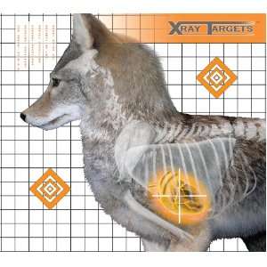   18.75x18.75 Inch Xray Paper Target (Pack of 6)