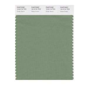   SMART 16 6116X Color Swatch Card, Shale Green: Home Improvement
