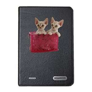  Devon Rex Two on  Kindle Cover Second Generation 