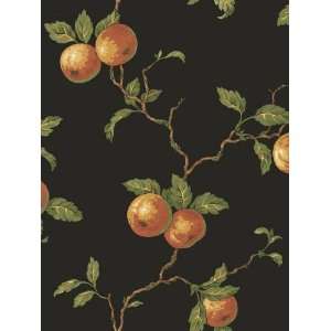  Wallpaper Olive Grove Orange Frutta trail PL013716